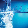 National Water Hygiene Group: Members Page