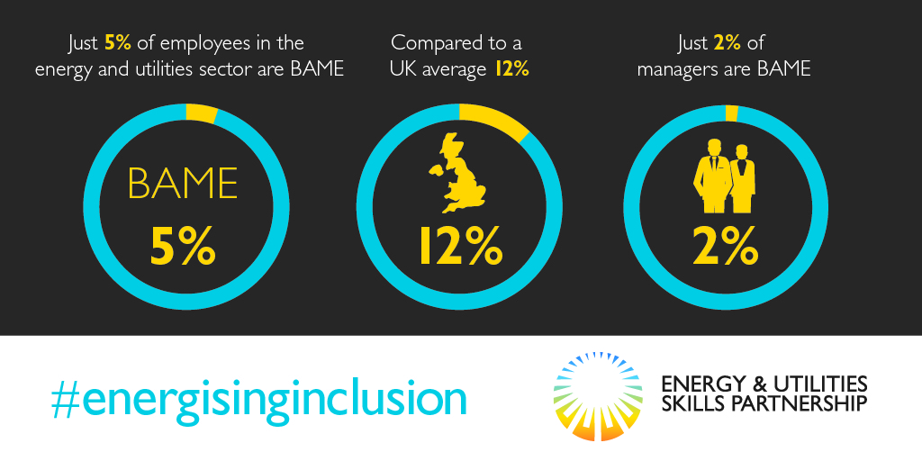 Diversity &#038; Inclusion Sector Statistics