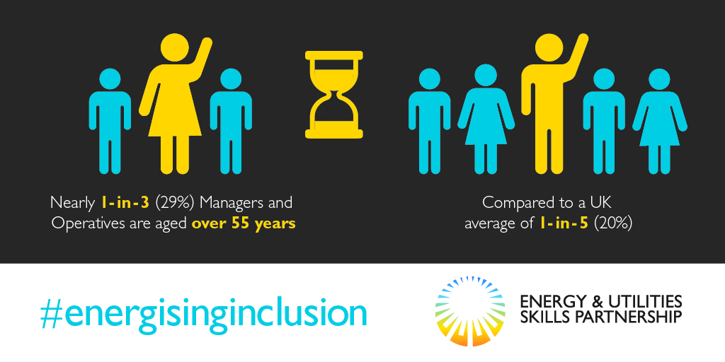 Diversity &#038; Inclusion Sector Statistics