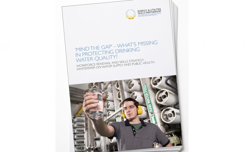 Whitepaper - Mind the Gap; What's Missing in Protecting Drinking Water Quality?
