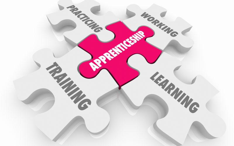A Case for Better Regulation Principles? The English Apprenticeship System