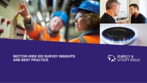 Sector-Wide EDI Survey Insights and best practice (Compressed)