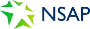 NSAP Power Skills - Governance and Scheme Overview