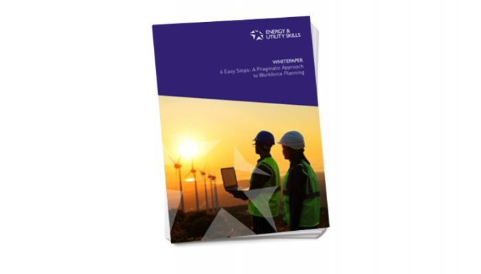 Whitepaper: 6 Easy Steps - A Pragmatic Approach to Workforce Planning